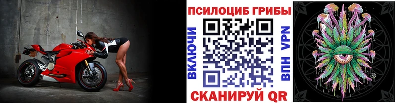 Галлюциногенные грибы Psilocybe  это состав  Поронайск 